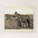 Zoek naar zebras puzzels Natuur