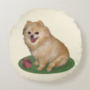 Recherche de pomeranian coussins Animaux familiers