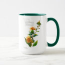 Recherche de safran tasses Vert
