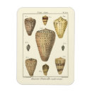 Recherche de sépia magnets Vie marine