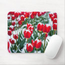 Recherche de rouge tulipe tapis souris Jardin