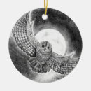 Zoek naar roofvogel ornamenten Uil