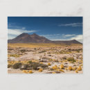 Recherche de chilis cartes postales Nature