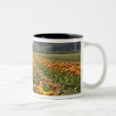 Recherche de tulipe tasses Ferme