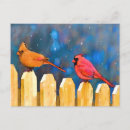 Zoek naar heks briefkaarten Vogel