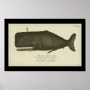 Recherche de zoologie vintage posters Illustration