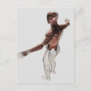 Recherche de bras humain cartes postales Biologie