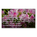 Recherche de azalées cartes visite Rose