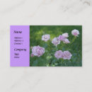 Recherche de magnifique cartes visite Violet