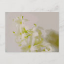 Recherche de toile cartes postales Vert