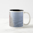 Recherche de japon en photos mugs bouteilles Dehors