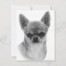 Recherche de animal réaliste cartes postales Amoureux des chiens