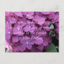 Recherche de hortensias cartes postales Violet
