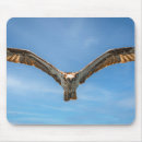 Recherche de aigle vol tapis souris Liberté