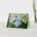 Recherche de vieillissement vœux cartes Bleu