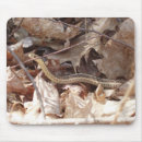 Recherche de serpent vert tapis souris Nature