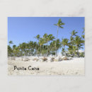 Recherche de palmiers tropicaux cartes postales Palme