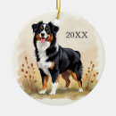 Zoek naar australian shepherd ornamenten Aussie