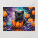 Recherche de ruban bleu cartes postales Citrouille