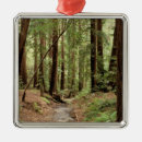 Recherche de écorce ornements Nature