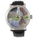 Recherche de de chèvre montres Photographie