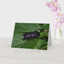 Zoek naar kevers kaarten Bug