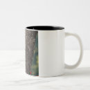 Recherche de pivert tasses Nature