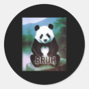 Zoek naar grappige panda stickers Dier