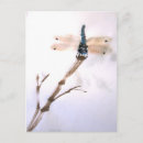 Recherche de bambou cartes postales Brosse