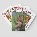 Recherche de spitz jeux de cartes Headshot