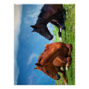 Recherche de cheval no art Nature