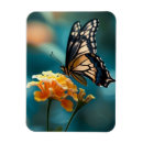 Recherche de joli papillon magnets Beau