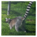 Zoek naar citroen tegels Thuis