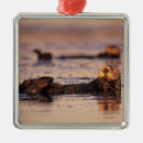 Recherche de loutre ornements Animal