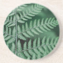 Recherche de feuille dessous de verres Extérieur