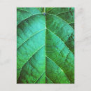 Recherche de macro feuille Design