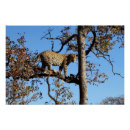 Recherche de léopard posters Tacheté