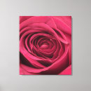 Recherche de bourgeons impressions sur toile Rose