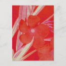 Recherche de fleur rouge cartes postales Feuille