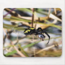 Recherche de araignée noire tapis souris Arachnide