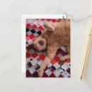 Recherche de grands chats cartes postales Félin
