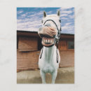 Zoek naar open mond briefkaarten Verticaal