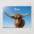 Recherche de béquille cartes postales Texas