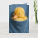 Zoek naar eendje kaarten Baby