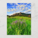 Recherche de wild cartes postales Montagne