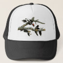 Recherche de affiche de la casquettes Oiseau