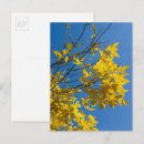 Recherche de automne photographie Nature