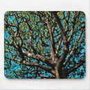 Recherche de chêne tapis souris Arbre