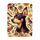 Recherche de pinscher magnets Chien