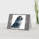 Recherche de tibétain vœux cartes Chiens